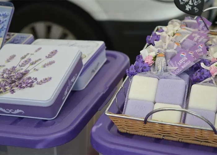 Bo210-203 Mazet 2 Pieces Mezzanine 6 Couchages Bormes Les Mimosas Villa La Favière